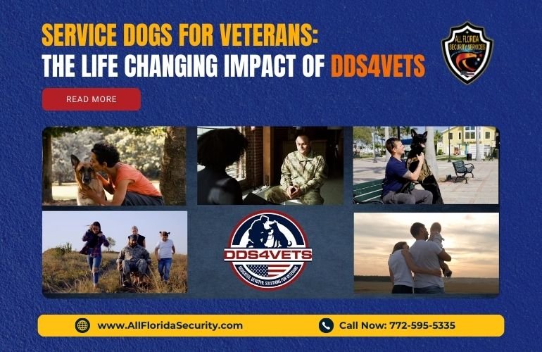 Service Dogs for Veterans The Life Changing Impact of DDS4VETS